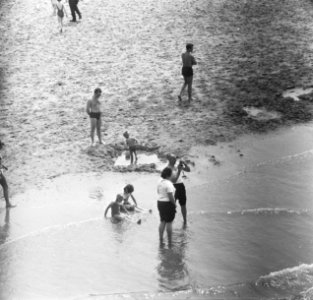 Zomerse dag, mensen in zee, Bestanddeelnr 919-3155