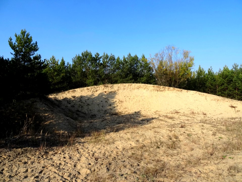 ZolwinPuszczaBydgoska 2 10-2015