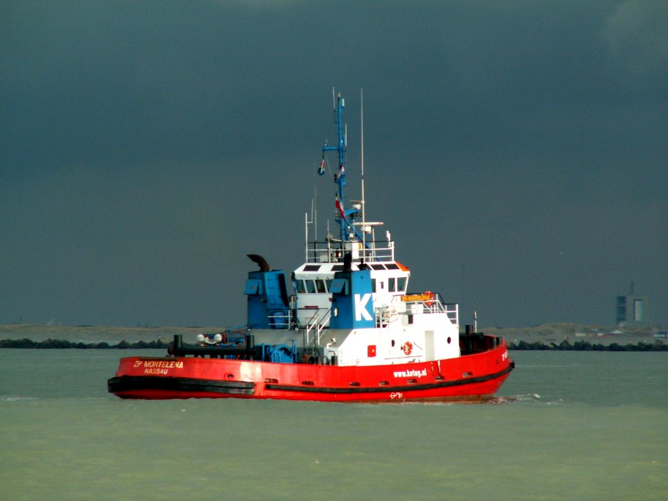 ZP Montelena IMO-8207719 p3 in the Calandkanaal, Holland 11-Feb-2006