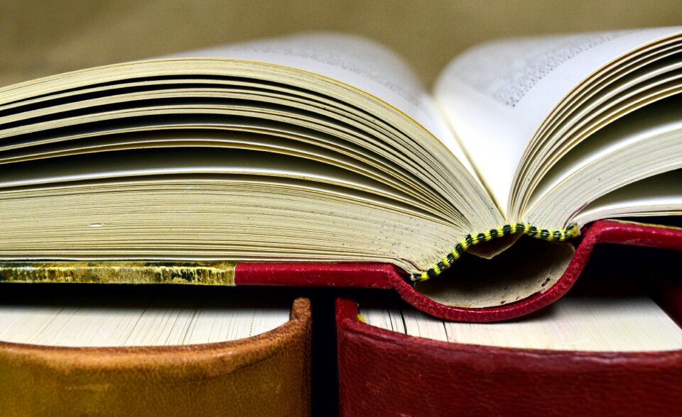 Used books old literature
