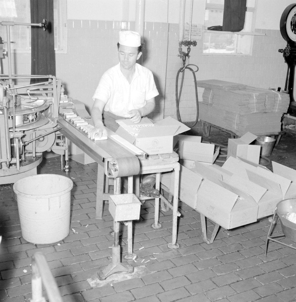 Zuivelfabriek Tnuva. Pakjes boter worden voor verzending in kartonnen dozen verp, Bestanddeelnr 255-4435