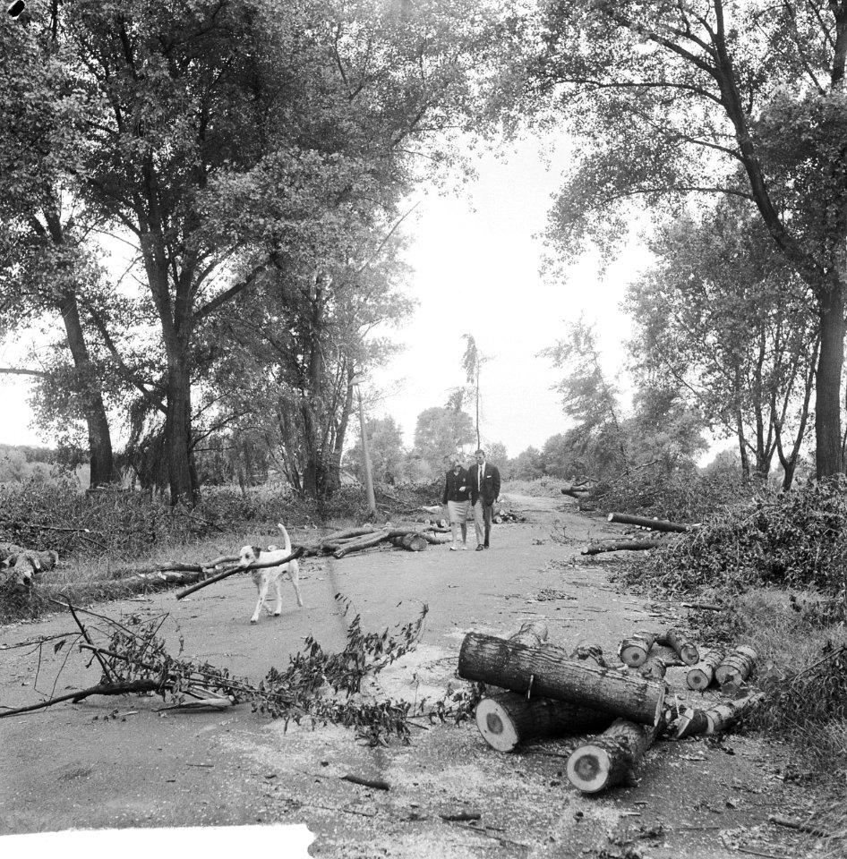 Zuidelijke wandelweg in Amsterdam-Zuid verdwijnt, Bestanddeelnr 912-7208