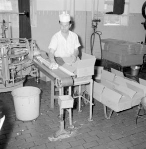 Zuivelfabriek Tnuva Pakjes boter worden voor verzending in kartonnen dozen verp, Bestanddeelnr 255-4436
