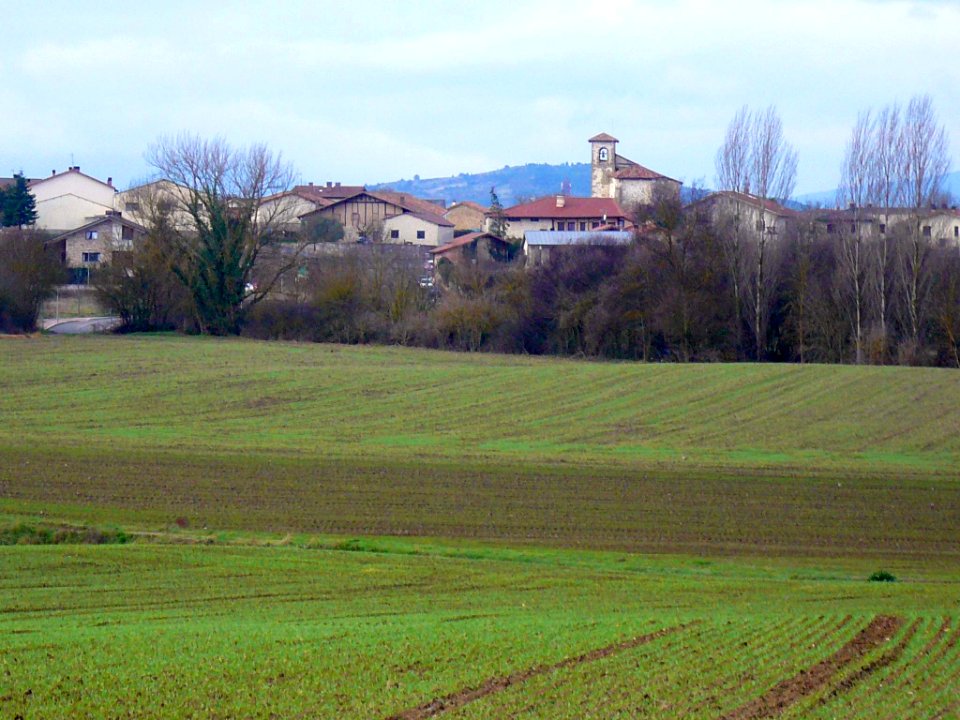 Zuazo de Vitoria 20