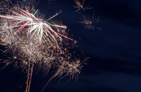 Pyrotechnics sylvester rocket photo