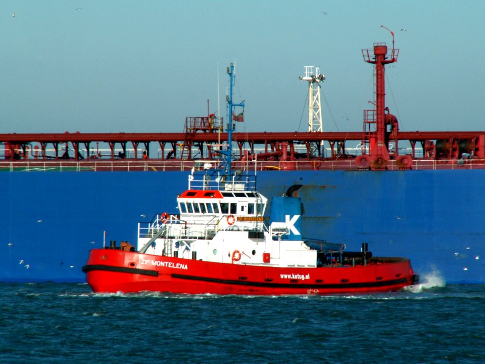 ZP Montelena IMO-8207719 in the Calandkanaal, Holland 29-Jan-2006