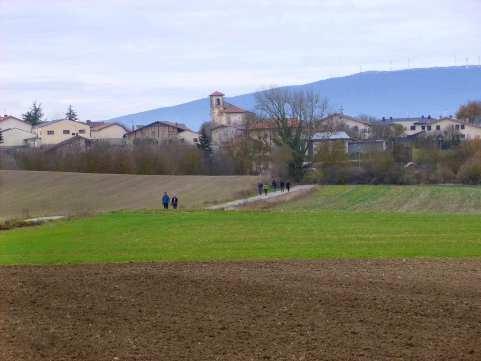 Zuazo de Vitoria - 18