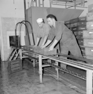 Zuivelfabriek Tnuva Medewerkers nemen kratten met gevulde melkflessen melk van , Bestanddeelnr 255-4446