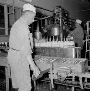 Zuivelfabriek Tnuva Medewerker vult kratten met volle melkflessen die op een lo, Bestanddeelnr 255-4444 photo
