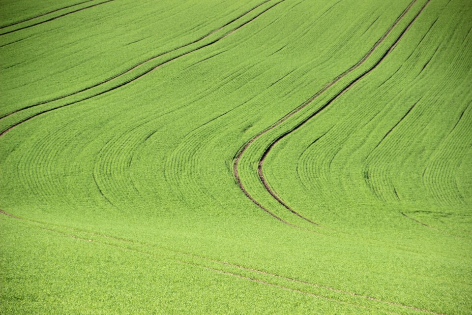 Green ways growth lines
