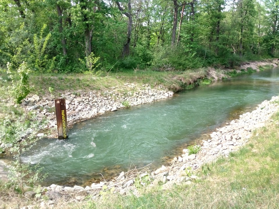 Zulaufgraben Knielinger See (3)