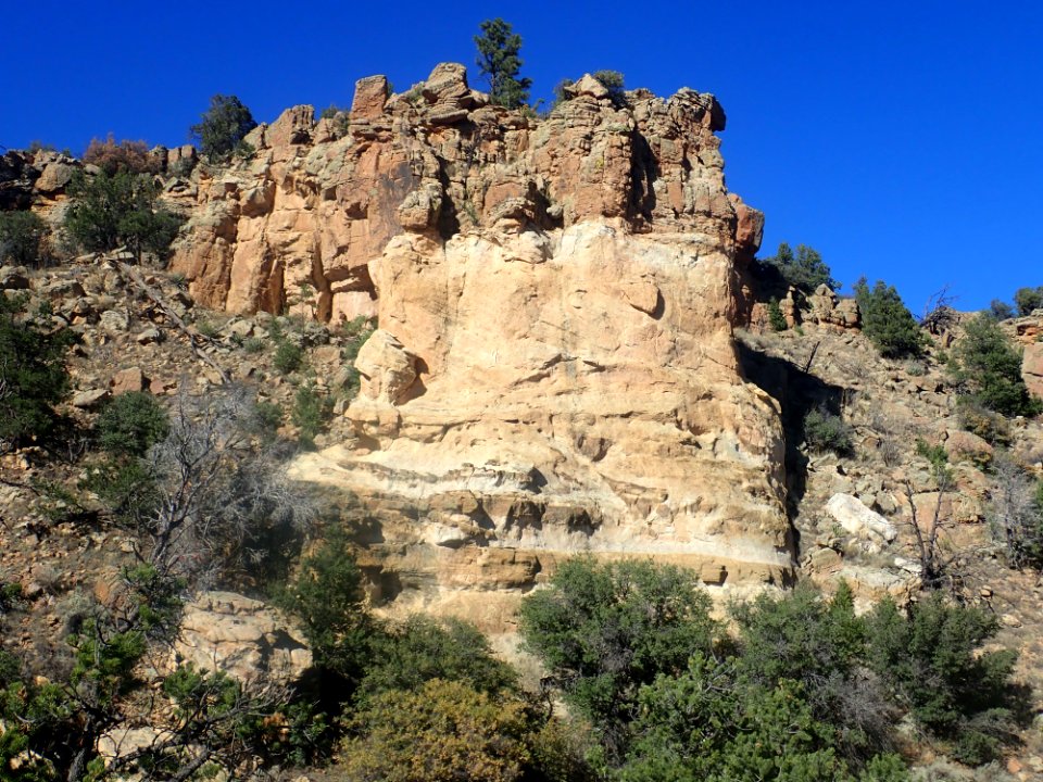 Zuni Sandstone El Malpais