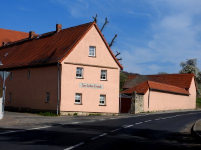 Zum kalten Frosch, Burgholzhausen
