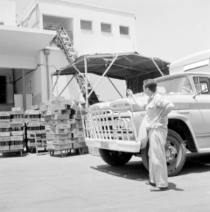 Zuivelfabriek Tnuva Vrachtwagen bij een opslag van emballage en een verticale t, Bestanddeelnr 255-4428 photo