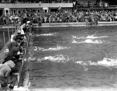 Zwemkampioenschappen te s Gravenhage Finish 100 meter dames, Bestanddeelnr 902-8388