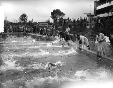 Zwemkampioenschap Nederland Groningen, finish 100 m vrije slag heren, Bestanddeelnr 907-2690