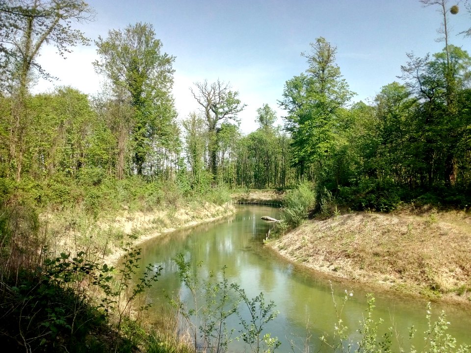 Zulaufgraben Knielinger See