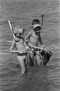 Zwemmen langs het Noordzeestrand met snorkel en zwemvliezen, Bestanddeelnr 910-6178