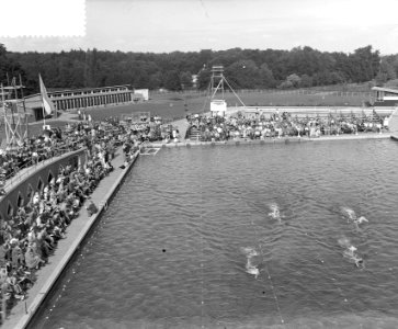 Zwemmen Nederland Hongarije, overzicht 400 meter, Bestanddeelnr 906-5854