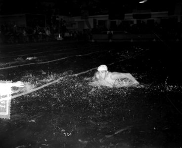 Zwemfeest sportfondsenbad Amsterdam waterpolo Meeuwen tegen BSC, Bestanddeelnr 906-7741 photo
