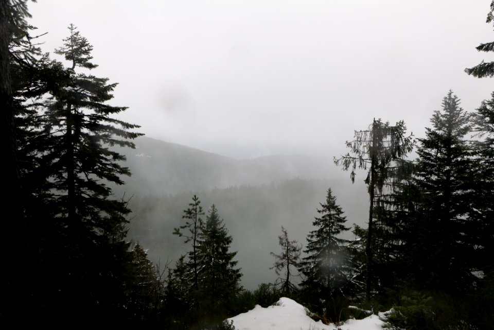 Zweiseenblick Seekopf 2020-03-10 02