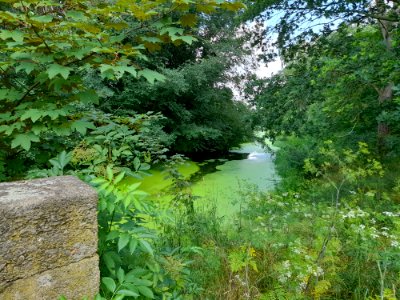 ZweimenLuppe