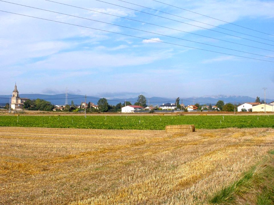 Zurbano 1