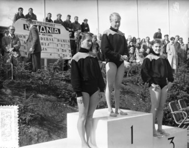 Zwemkampioenschap Nederland Groningen, 100 m vlinder, Bestanddeelnr 907-2682