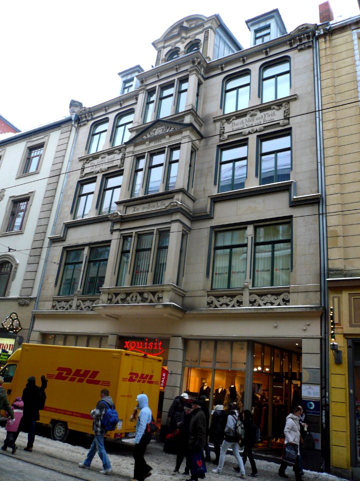 ZurWeißenLilie1