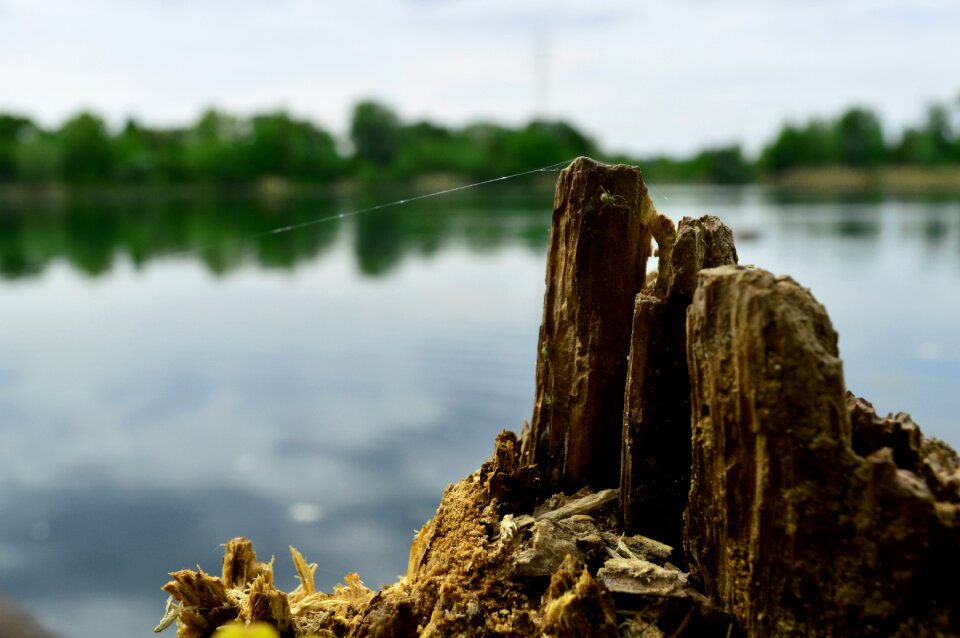Lake nature water