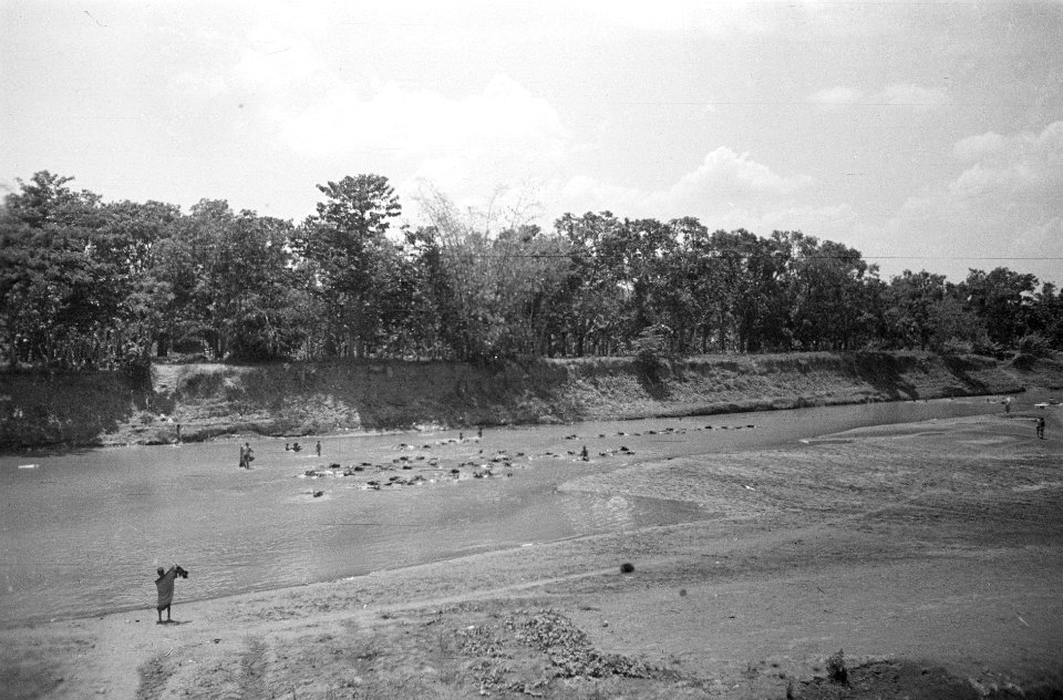 Zwemmen in een rivier, Bestanddeelnr 787