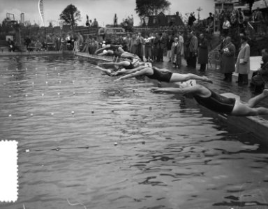 Zwemkampioenschap Nederland Groningen, start 100 m vrij slag dames, Bestanddeelnr 907-2698