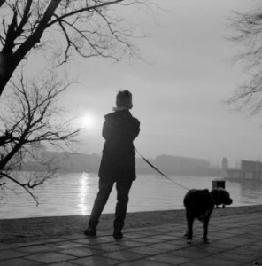 Zonsverduistering boven Amsterdam, jongen en hond, Bestanddeelnr 912-1038 photo