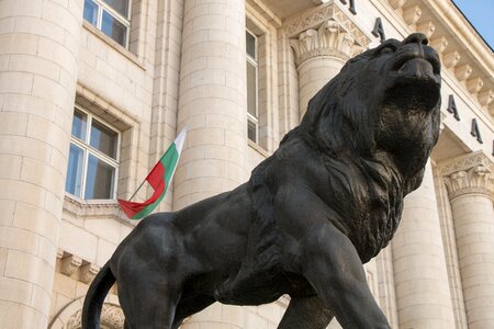 Palace city flag