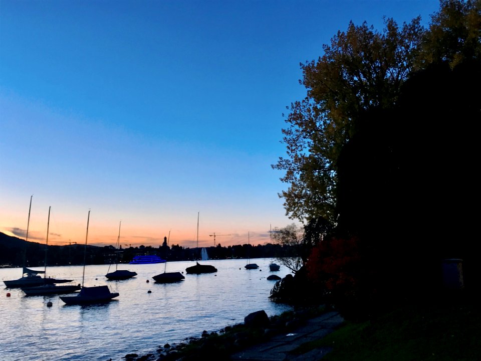 Zurich Lake (Ank Kumar Infosys Limited) 30