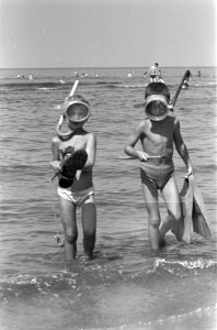 Zwemmen langs het Noordzeestrand met snorkel en zwemvliezen, Bestanddeelnr 910-6176