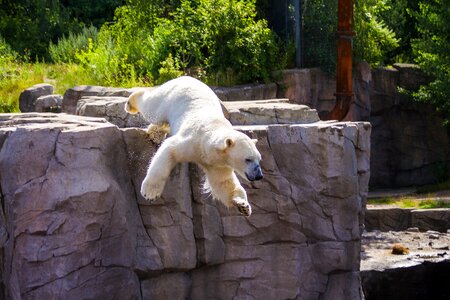 Jump water nature