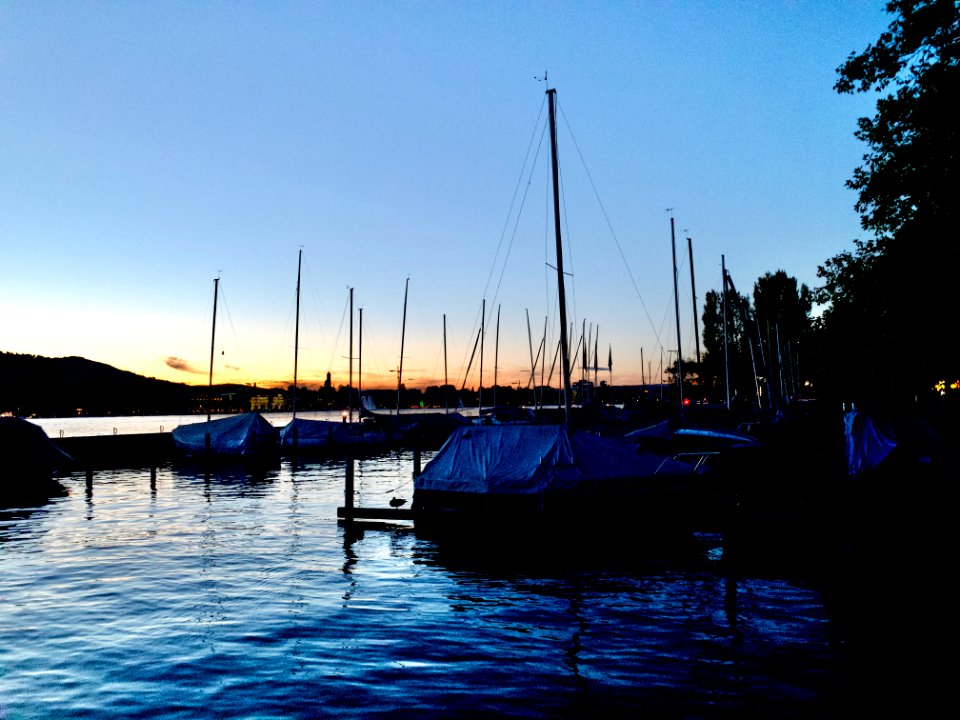 Zurich Lake (Ank Kumar Infosys Limited) 41