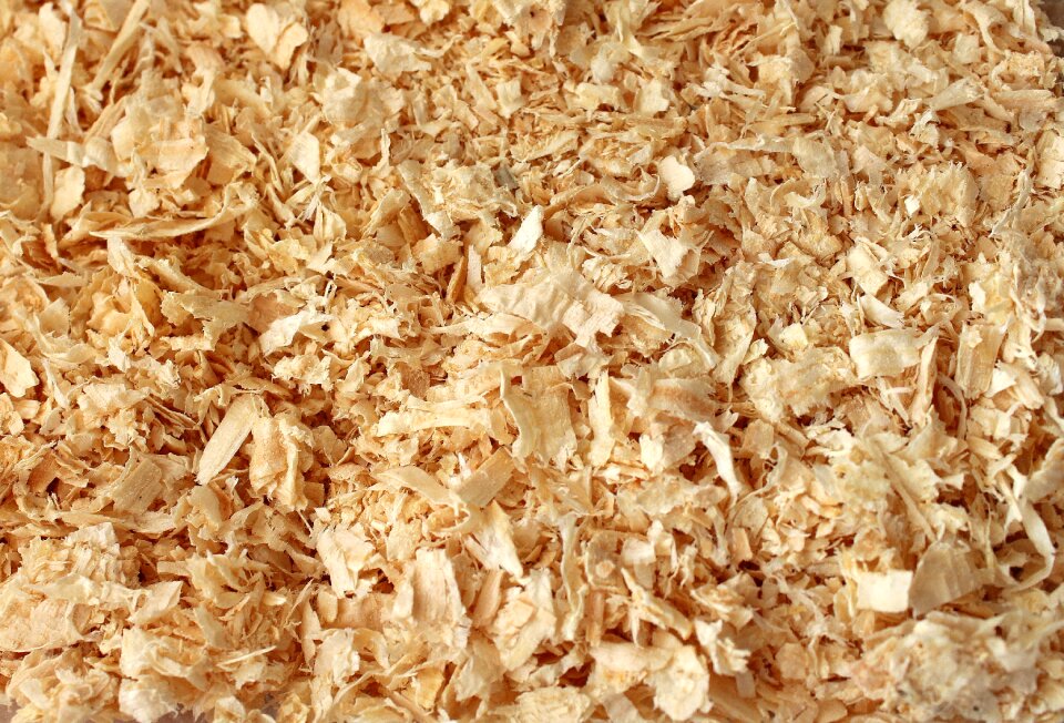 Shavings texture model