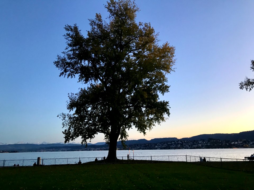 Zurich Lake (Ank Kumar Infosys Limited) 22