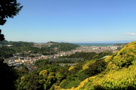 Zushi - 02