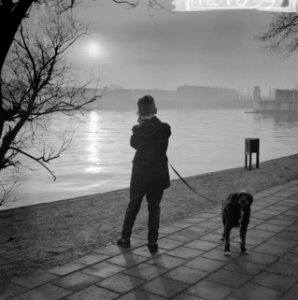 Zonsverduistering boven Amsterdam, jongen en hond, Bestanddeelnr 912-1039 photo