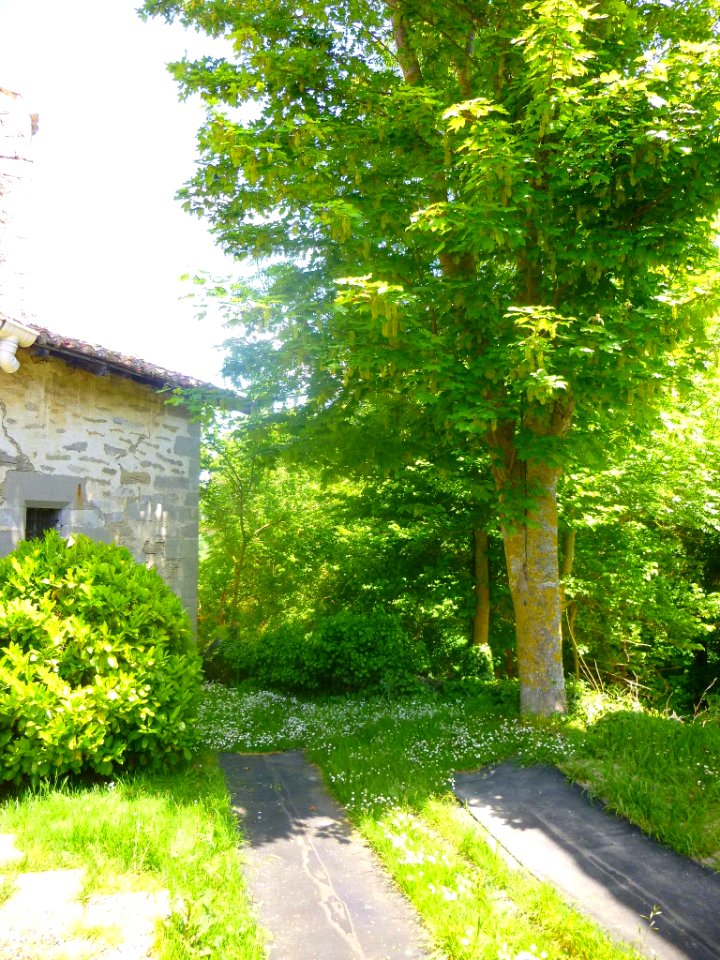 Zumelzu 19
