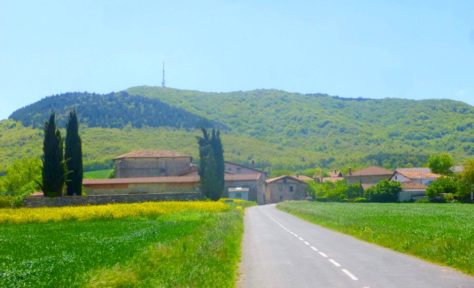 Zumelzu 05