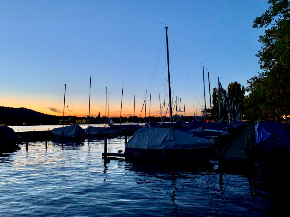 Zurich Lake (Ank Kumar Infosys Limited) 40