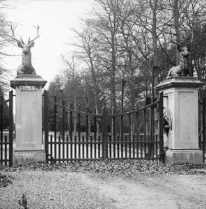 Zoogdieren, ingang, parken, hert, het loo, Bestanddeelnr 193-0074