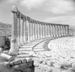 Zuilengalerij op het forum in Jerash, Bestanddeelnr 255-5709