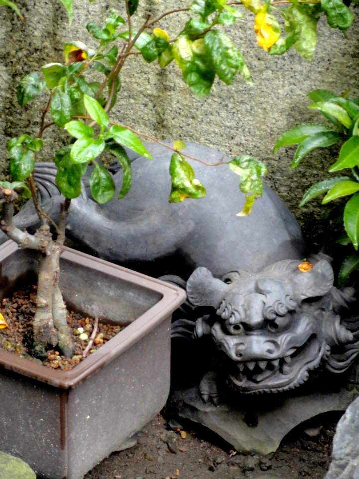 Zuisen-ji (Kyoto) - DSC05930
