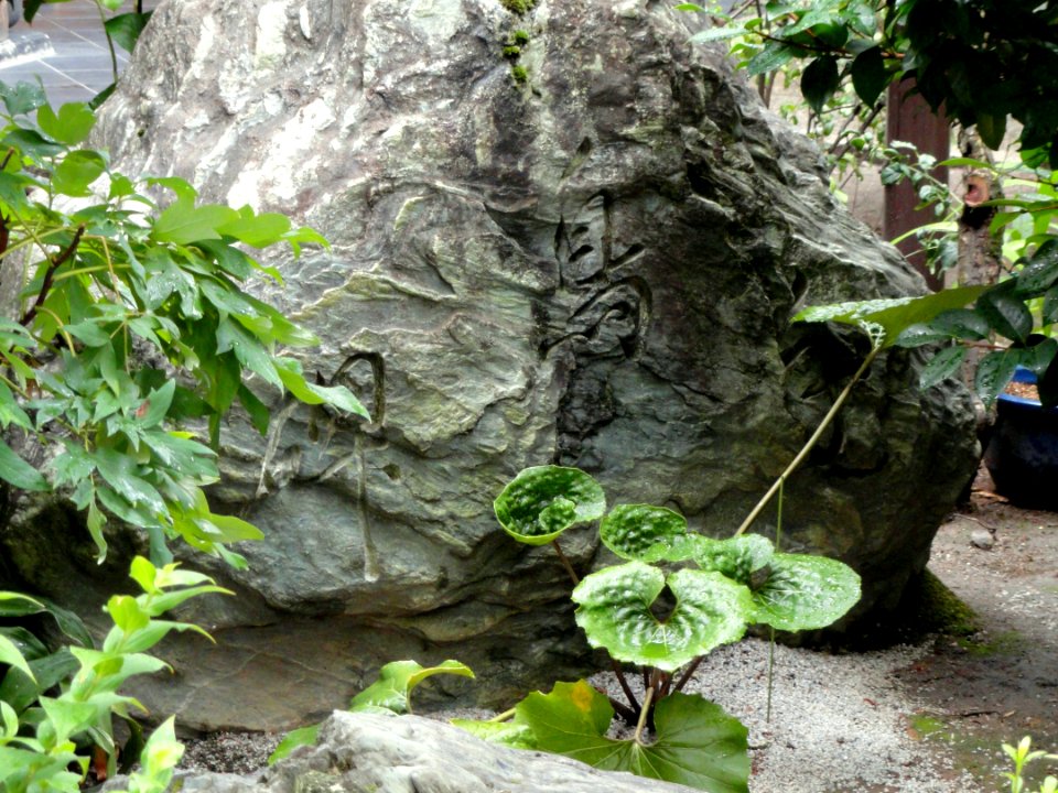Zuisen-ji (Kyoto) - DSC05928