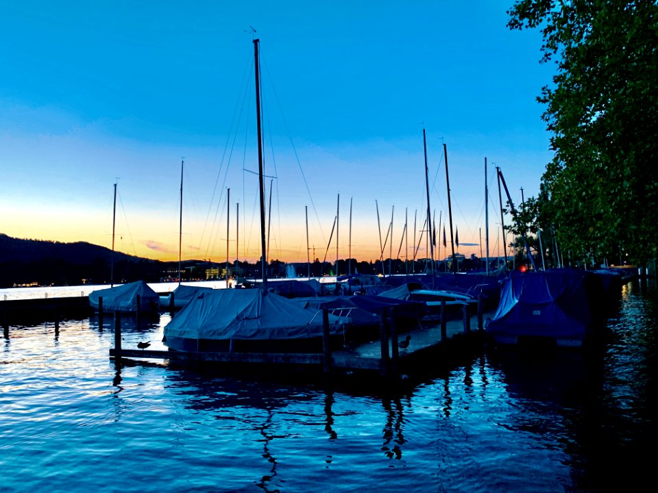 Zurich Lake (Ank Kumar Infosys Limited) 42